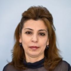 Новрузова Илхама